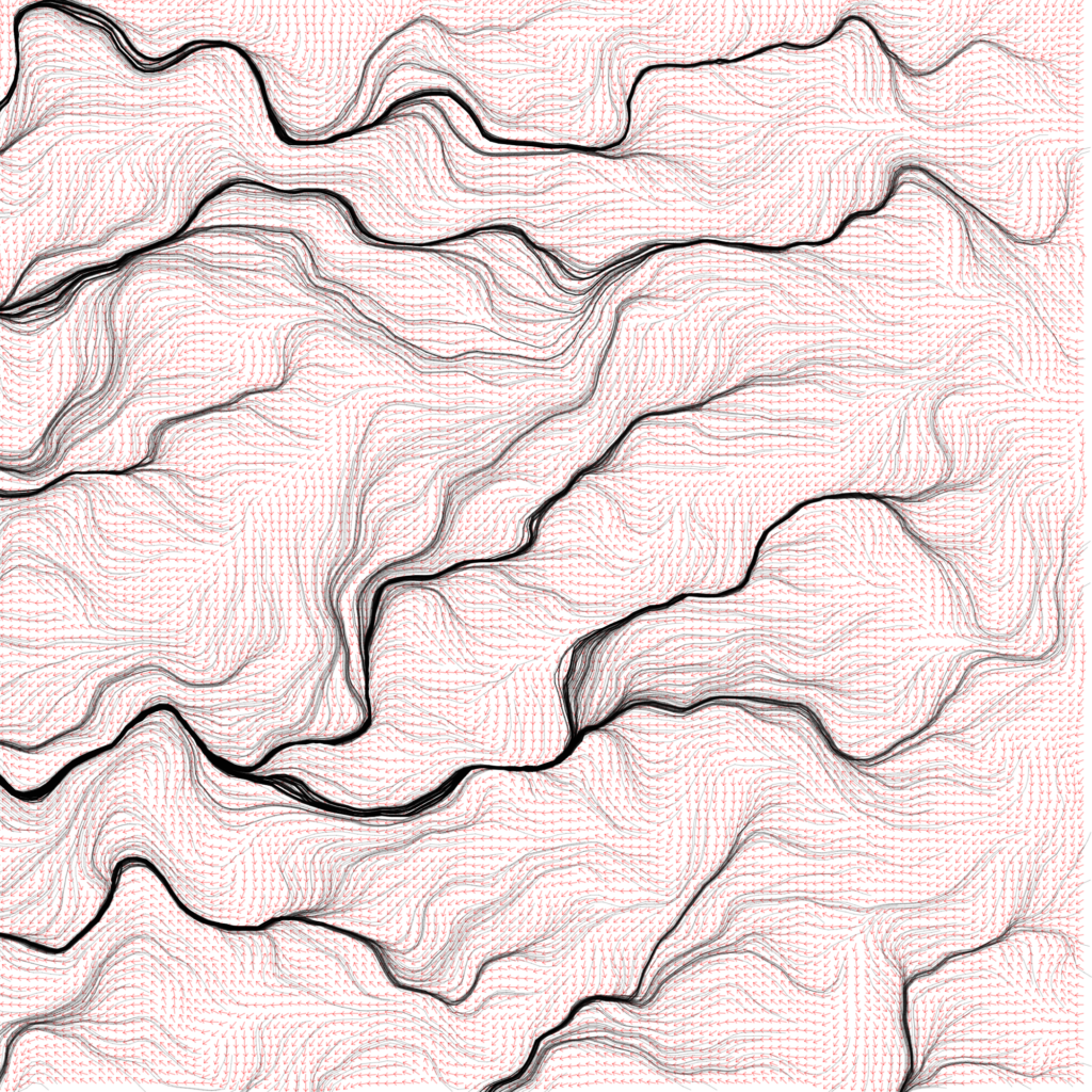 Output of the flow field algorithm.