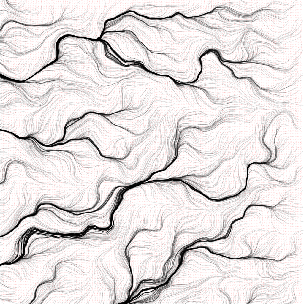 Output of the flow field algorithm.